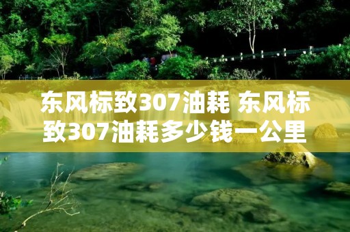 东风标致307油耗 东风标致307油耗多少钱一公里