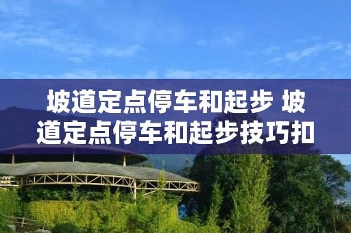 坡道定点停车和起步 坡道定点停车和起步技巧扣分细则