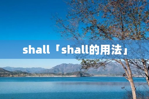 shall「shall的用法」 shall「shall的用法」