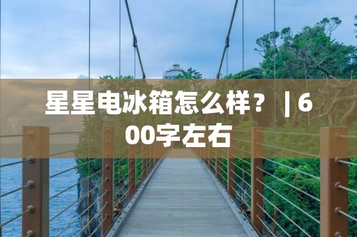 星星电冰箱怎么样？ | 600字左右
