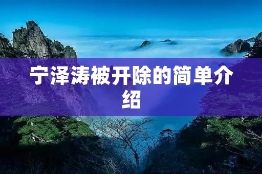宁泽涛被开除的简单介绍 宁泽涛被开除的简单介绍