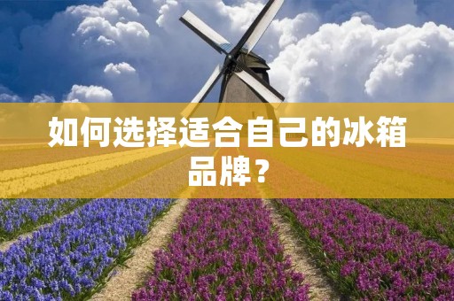 如何选择适合自己的冰箱品牌？