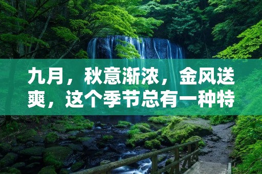 九月,秋意渐浓,金风送爽,这个季节总有一种特别的感觉,不知道是因为秋高气爽,还是因为九月总有一种让人心情愉悦的气息。或许是因为这个月是新学年的开始,总有一种新的感觉和期待。在这个特别的季节里,我们总会有一些特别的想法和感受,下面就来一起分享一下吧。