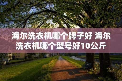 海尔洗衣机哪个牌子好 海尔洗衣机哪个型号好10公斤 海尔洗衣机哪个牌子好 海尔洗衣机哪个型号好10公斤