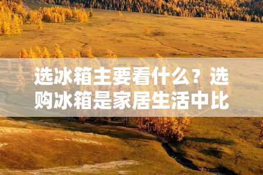 选冰箱主要看什么?选购冰箱是家居生活中比较重要的一件事情,因此如何选择一台适合自己的冰箱就成为了很多人关注的焦点。那么,选购冰箱主要看什么呢?接下来,我们就来详细了解一下。 选冰箱主要看什么?选购冰箱是家居生活中比较重要的一件事情,因此如何选择一台适合自己的冰箱就成为了很多人关注的焦点。那么,选购冰箱主要看什么呢?接下来,我们就来详细了解一下。