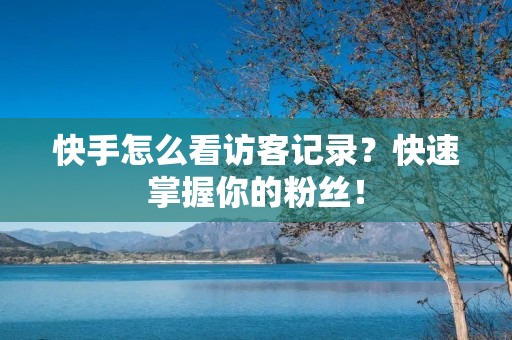 快手怎么看访客记录?快速掌握你的粉丝! 快手怎么看访客记录?快速掌握你的粉丝!