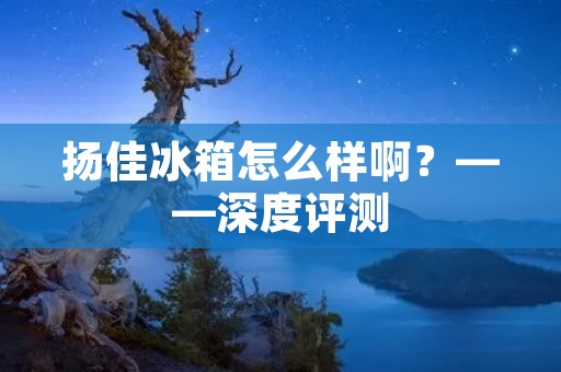 扬佳冰箱怎么样啊？——深度评测