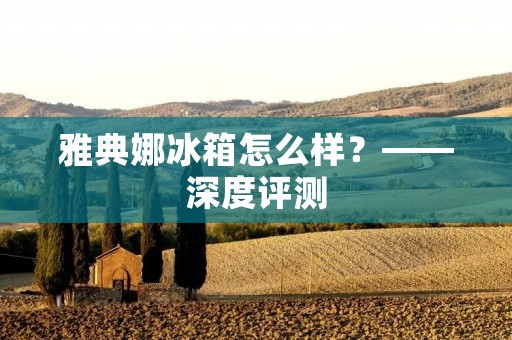 雅典娜冰箱怎么样?——深度评测 雅典娜冰箱怎么样?——深度评测