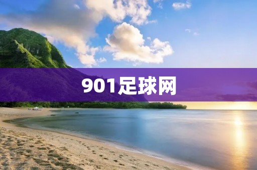 901足球网：为您带来最全面的足球资讯