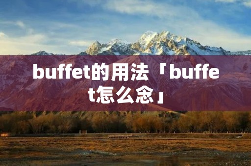 buffet的用法「buffet怎么念」