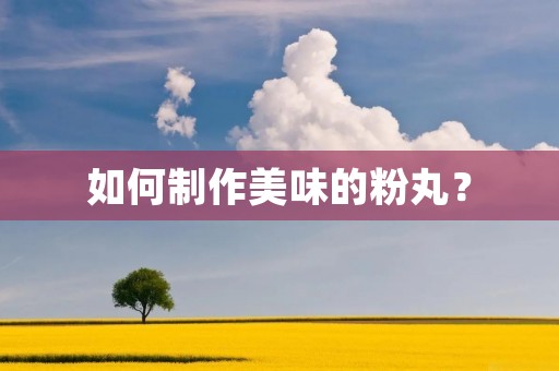 如何制作美味的粉丸? 如何制作美味的粉丸?