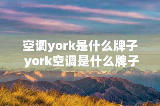 空调york是什么牌子 york空调是什么牌子的
