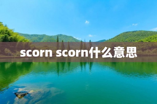 scorn scorn什么意思