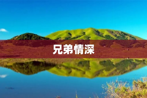 兄弟情深:用心守护永不分离