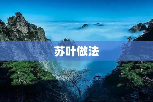 苏叶做法:一种健康美味的烹饪方式 苏叶做法:一种健康美味的烹饪方式