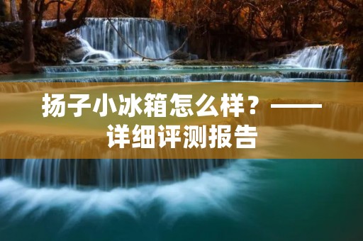 扬子小冰箱怎么样？——详细评测报告