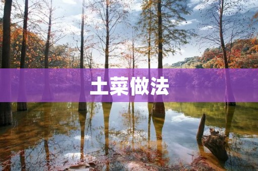 土菜做法：传统美食的独特魅力