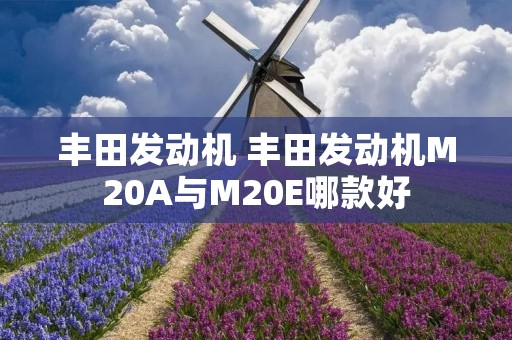 丰田发动机 丰田发动机M20A与M20E哪款好 丰田发动机 丰田发动机M20A与M20E哪款好