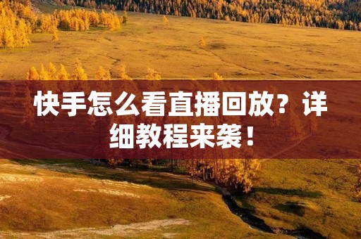 快手怎么看直播回放？详细教程来袭！