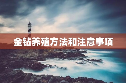 金钻养殖方法和注意事项