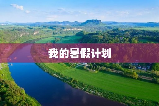 我的暑假计划