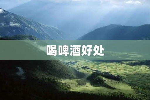 喝啤酒好处:为健康加分 喝啤酒好处:为健康加分