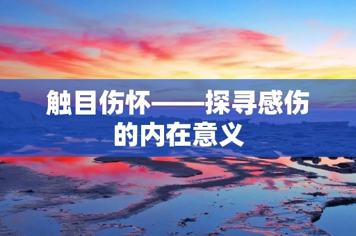 触目伤怀——探寻感伤的内在意义