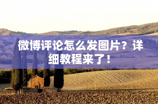 微博评论怎么发图片?详细教程来了! 微博评论怎么发图片?详细教程来了!