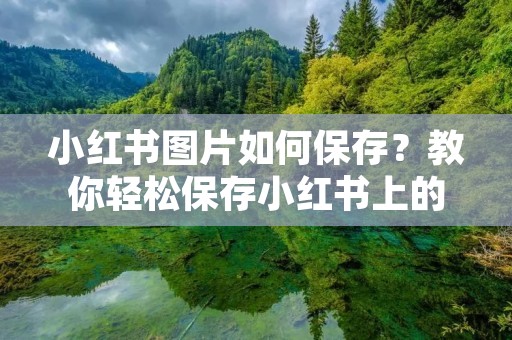 小红书图片如何保存?教你轻松保存小红书上的美图! 小红书图片如何保存?教你轻松保存小红书上的美图!