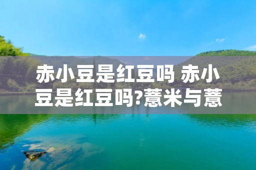 赤小豆是红豆吗 赤小豆是红豆吗?薏米与薏仁米