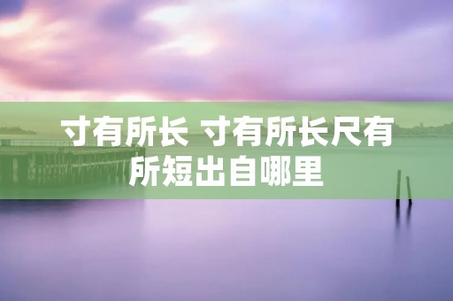 寸有所长 寸有所长尺有所短出自哪里
