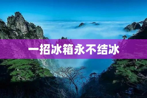 一招冰箱永不结冰:揭秘新型冰箱的使用方法 一招冰箱永不结冰:揭秘新型冰箱的使用方法