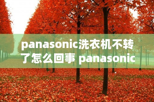 panasonic洗衣机不转了怎么回事 panasonic洗衣机不转动 panasonic洗衣机不转了怎么回事 panasonic洗衣机不转动