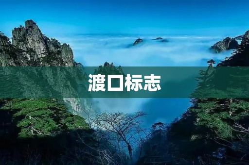 渡口标志：保障水上交通安全的重要标志
