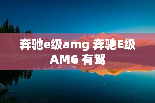 奔驰e级amg 奔驰E级AMG 有驾