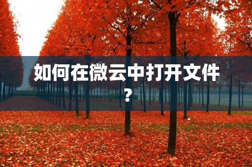 如何在微云中打开文件? 如何在微云中打开文件?