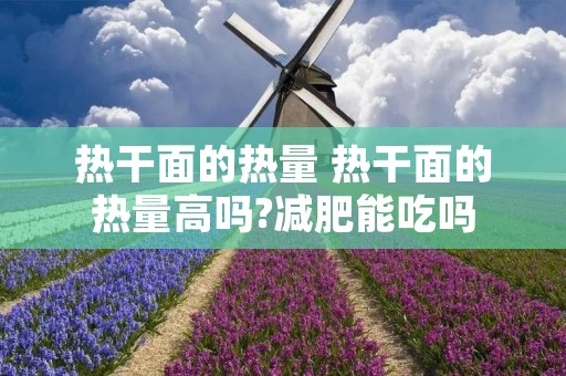 热干面的热量 热干面的热量高吗?减肥能吃吗