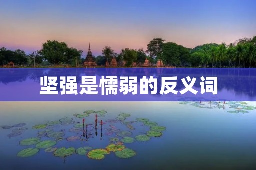 坚强是懦弱的反义词