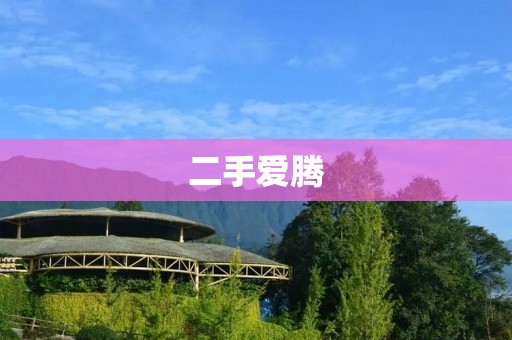 二手爱腾:重新定义高端手机的消费方式 二手爱腾:重新定义高端手机的消费方式