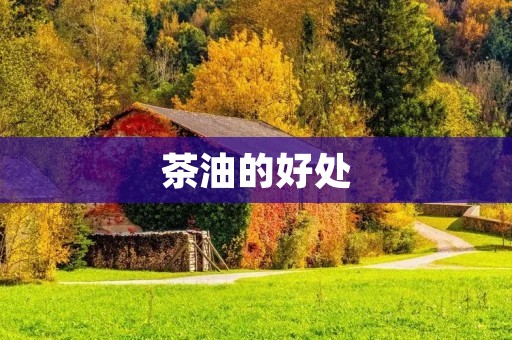 茶油的好处:从抗氧化到美容养颜 茶油的好处:从抗氧化到美容养颜