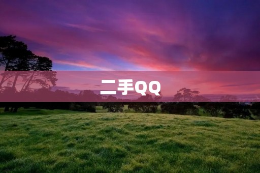 二手QQ：性价比高的选择
