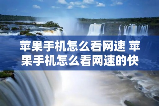 苹果手机怎么看网速 苹果手机怎么看网速的快慢
