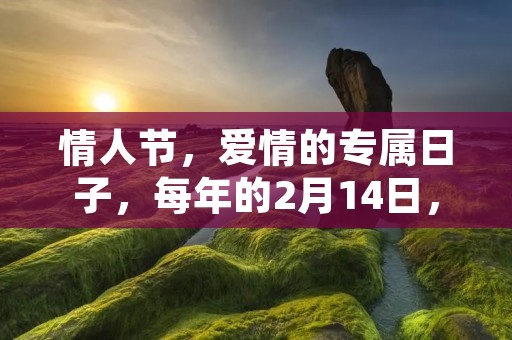 情人节,爱情的专属日子,每年的2月14日,人们为了表达自己的爱意,都会用各种方式来庆祝这个特殊的日子。这一天,我也和我的爱人一起度过了一个难忘的情人节。
