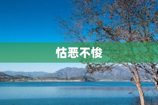 怙恶不悛:不肯改悔的罪恶行为