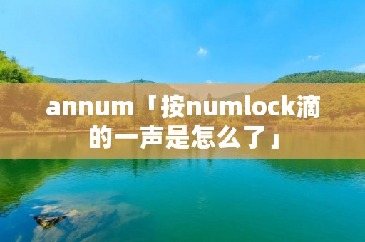 annum「按numlock滴的一声是怎么了」 annum「按numlock滴的一声是怎么了」