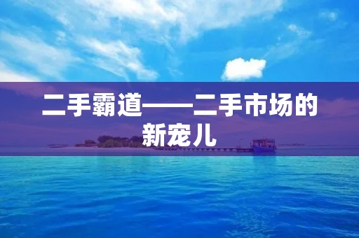二手霸道——二手市场的新宠儿 二手霸道——二手市场的新宠儿