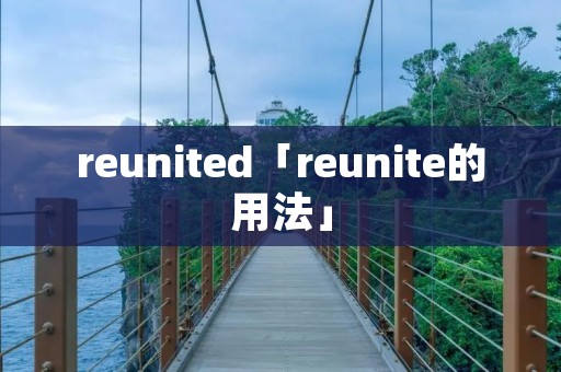 reunited「reunite的用法」