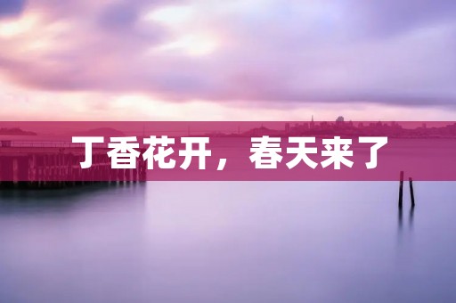 丁香花开，春天来了