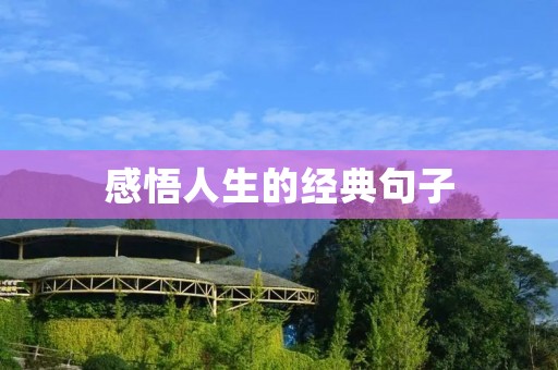 感悟人生的经典句子