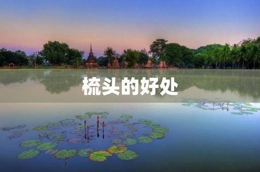 梳头的好处:让你的头发更健康 梳头的好处:让你的头发更健康